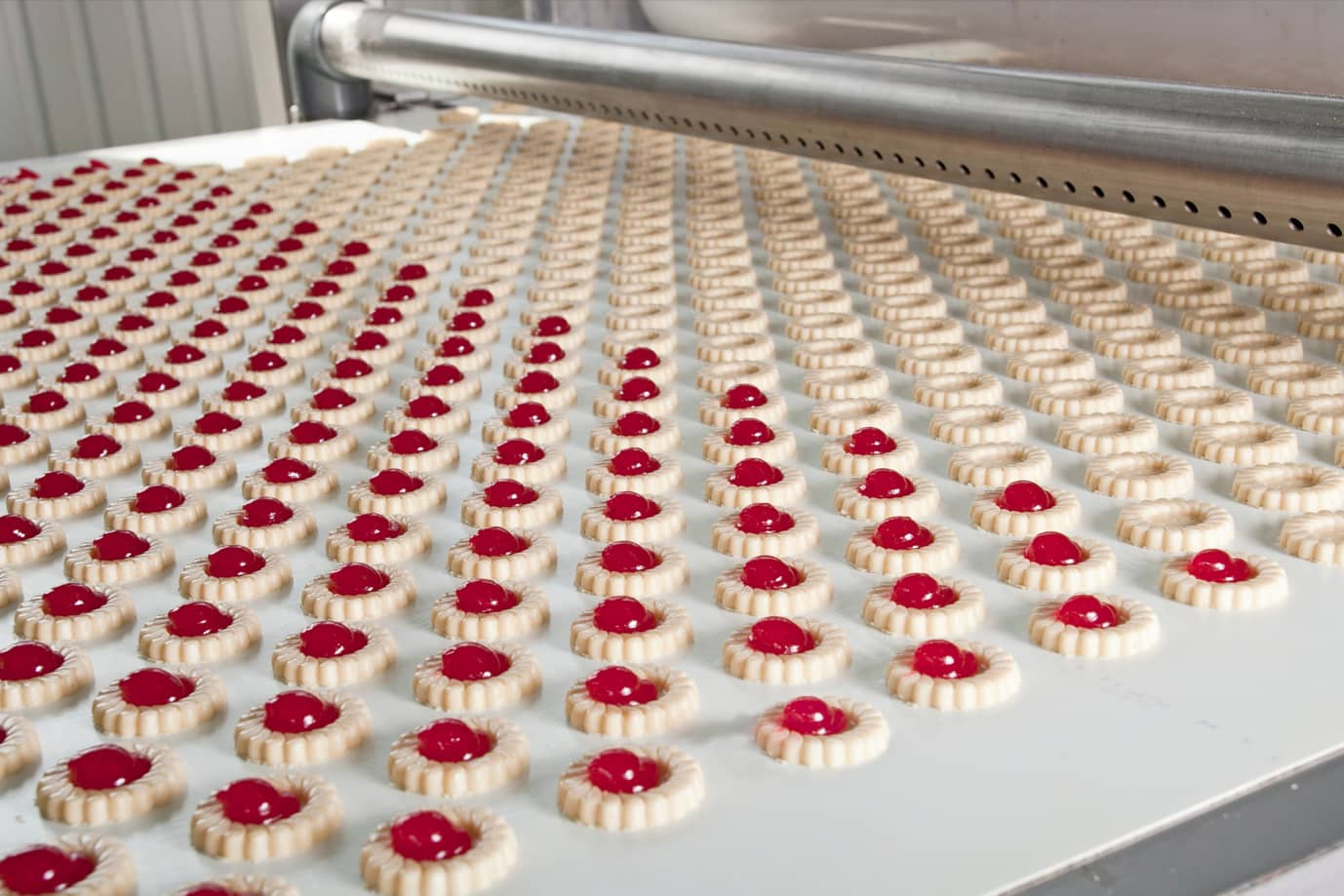 esteira-industria-alimentos-pichi