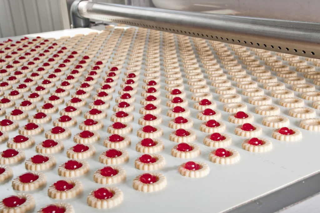 Food processing conveyor with polymer components